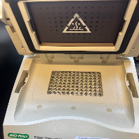 Bio-Rad T100 Thermal Cycler image 0